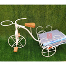 Bicicleta Decorativa de Ferro Rústica Branca